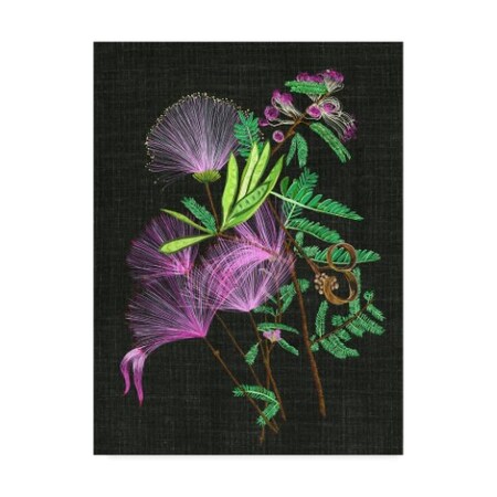Trademark Fine Art Melissa Wang 'Calliandra Surinamensis Ii' Canvas Art, 24x32 WAG06308-C2432GG